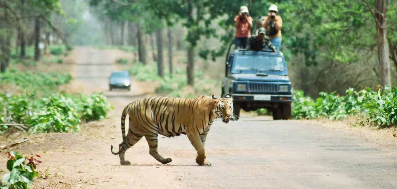 Car Rental Ranthambore